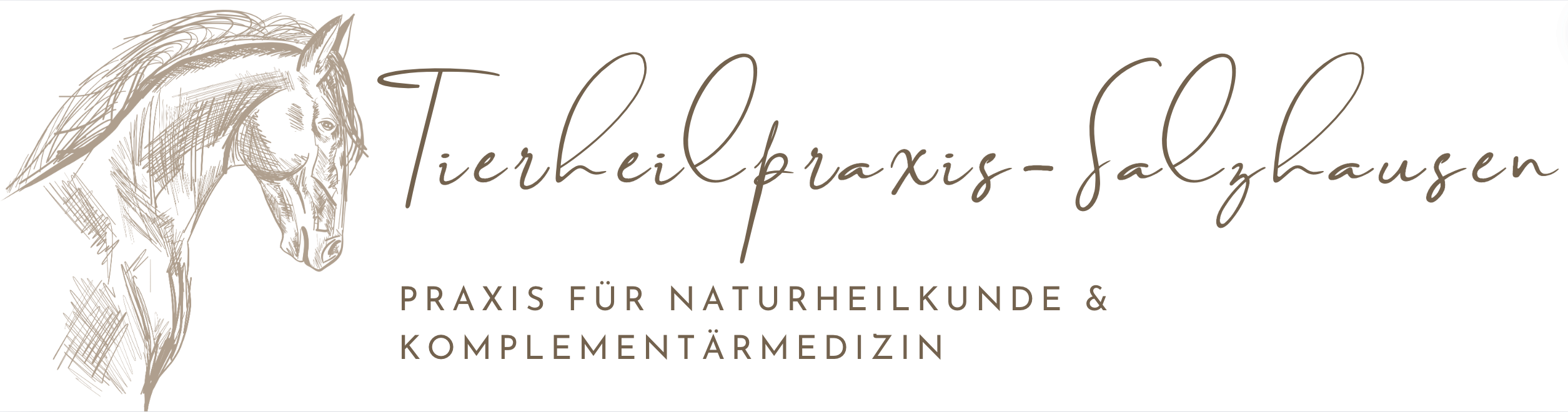 tierheilpraxis-salzhausen.de